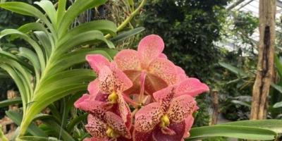 Img E0260