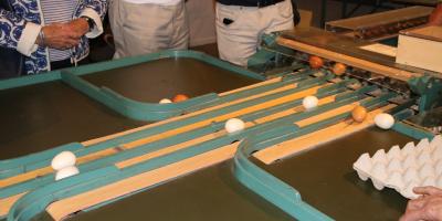 Img 5936